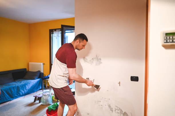 Professional Mold Removal in Trafalgar, IN