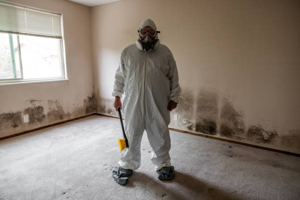 Home Mold Removal in Trafalgar, IN